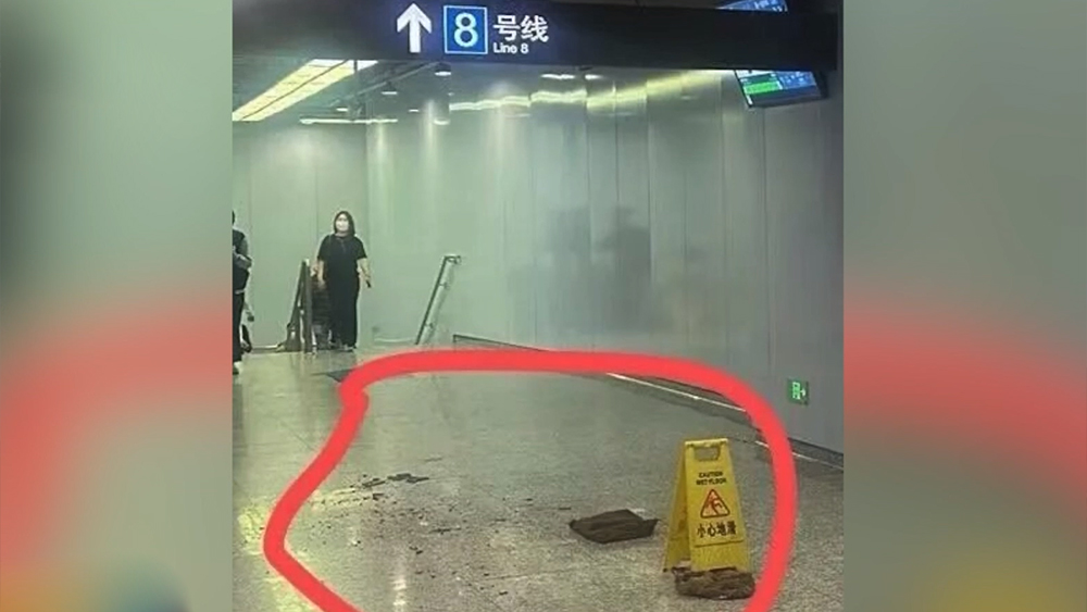 李维嘉曾说何炅的缺点是爱夸赞食物