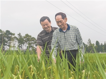俄罗斯车臣首府发生爆炸致死