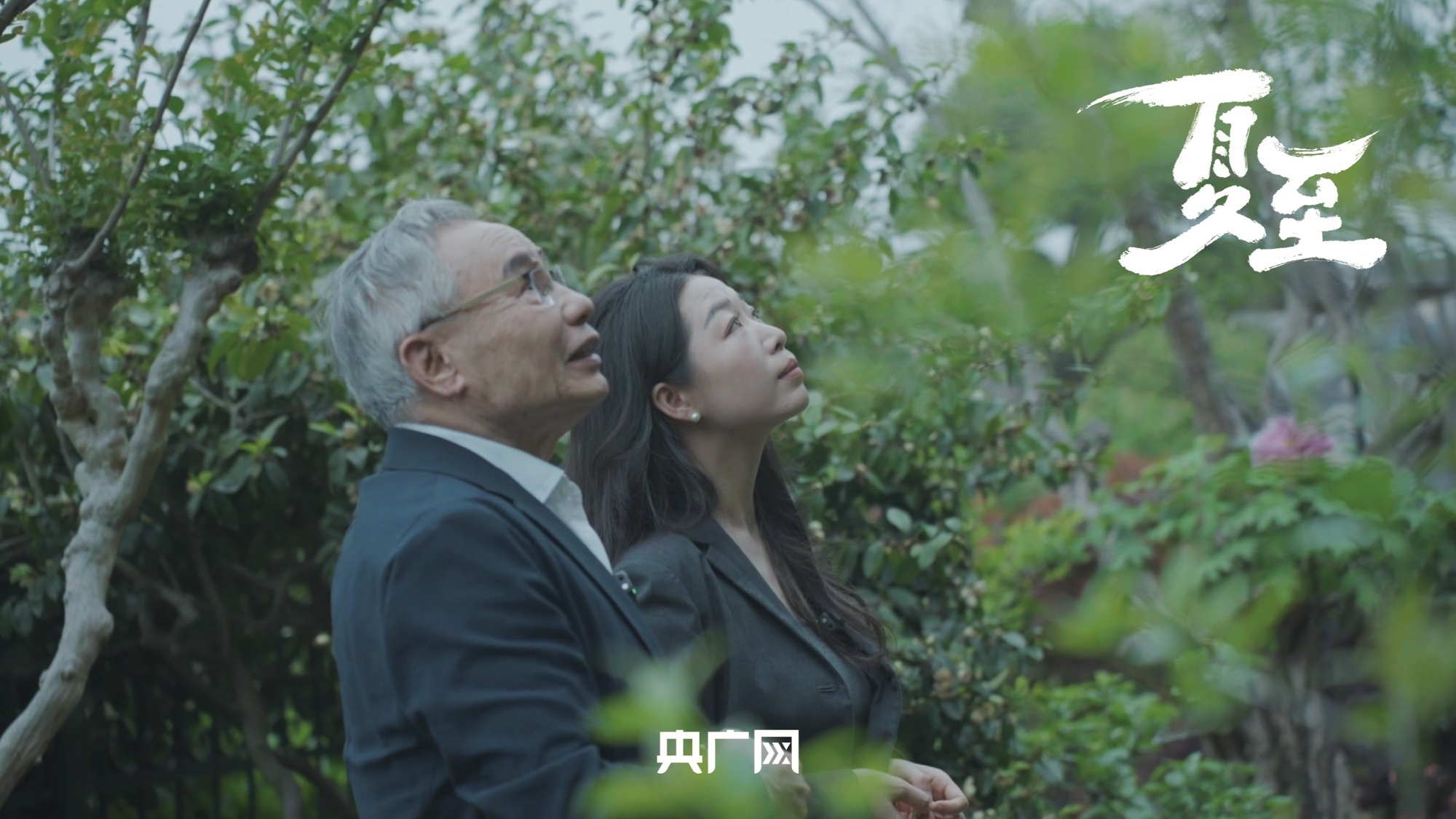 广西发现新物种阳朔风筝果