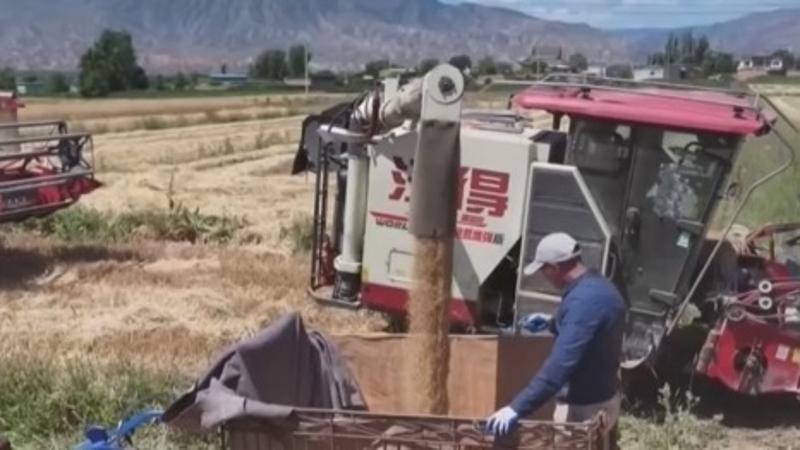 重庆市生物制造研究院正式揭牌