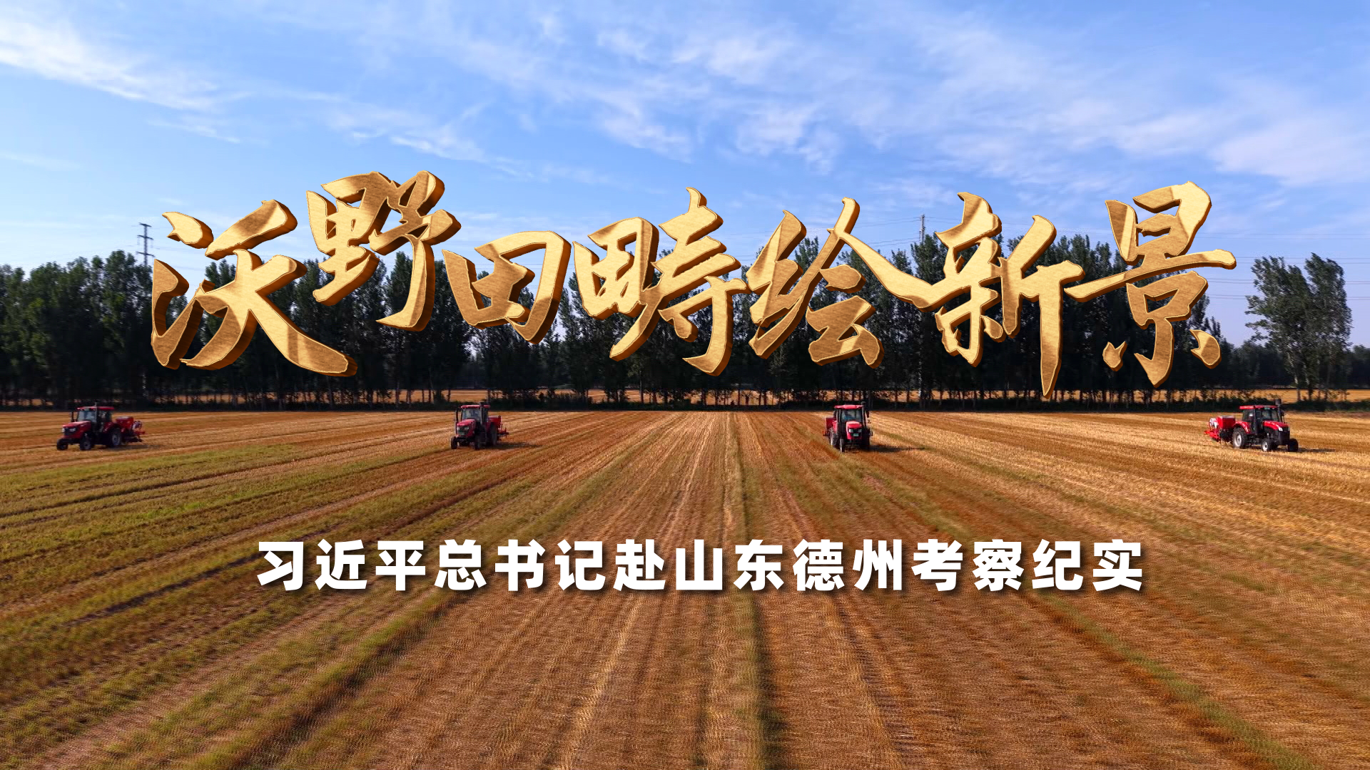 中国方案:闽宁协作助力全球减贫