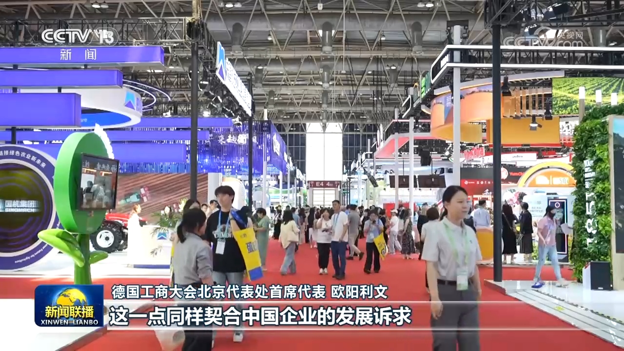杨幂治好了我的犯错羞耻症