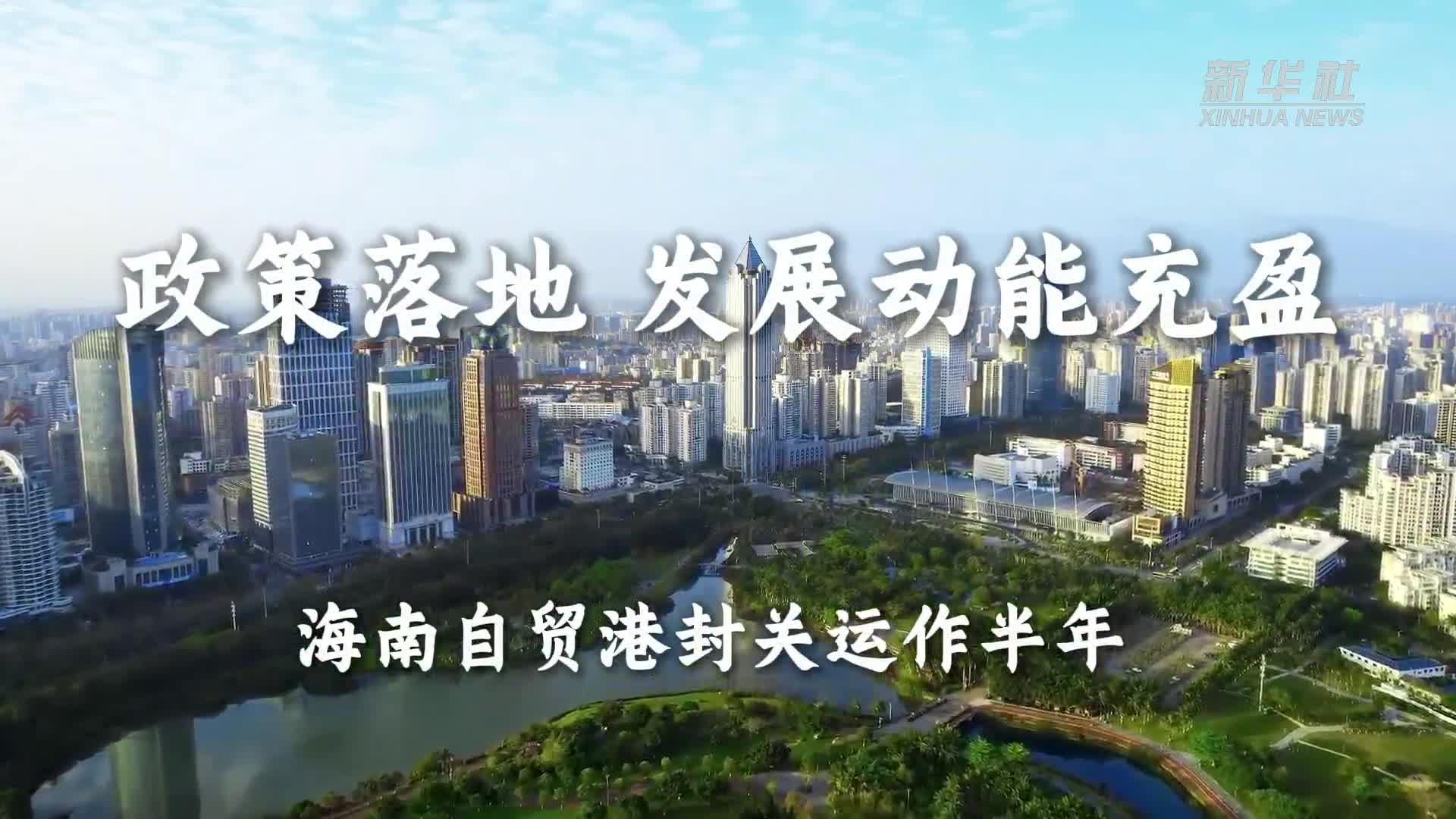林诗栋比张本智和