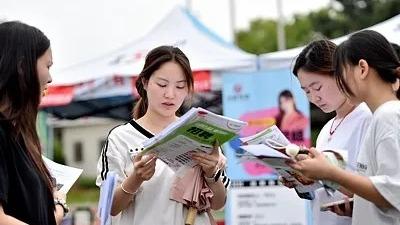 代高政短剧